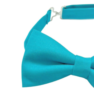 Greenish Blue Bow tie 