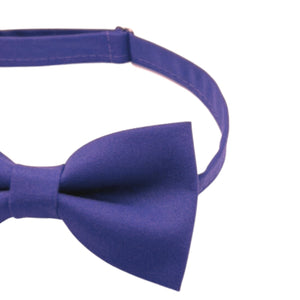 Dark Purple Bow tie 