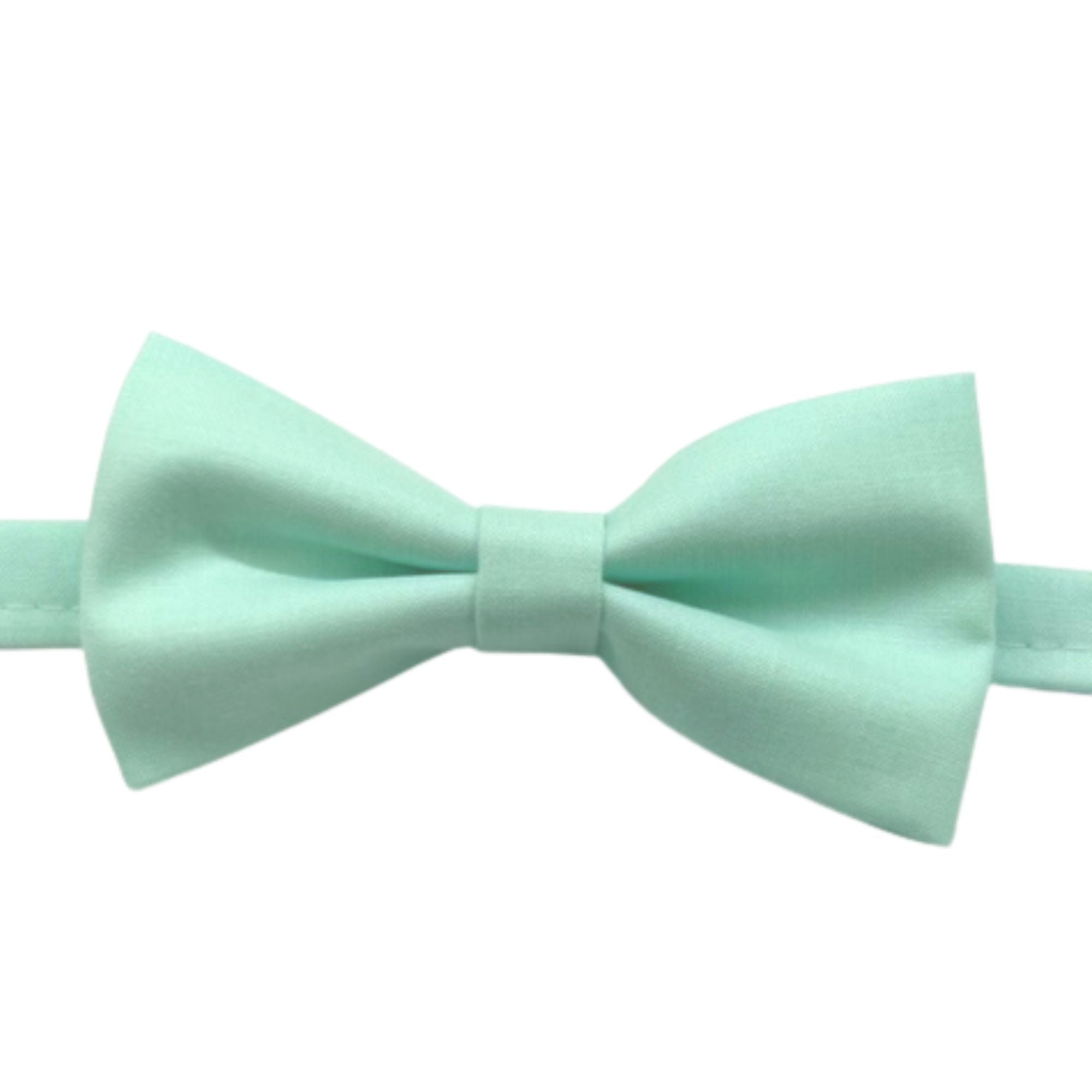 Pastel Green Bow tie 